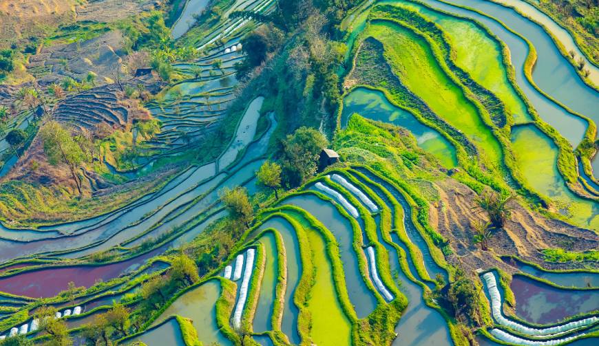 走进定远县TVC拍摄：解锁本地化场景与创意镜头的完美融合